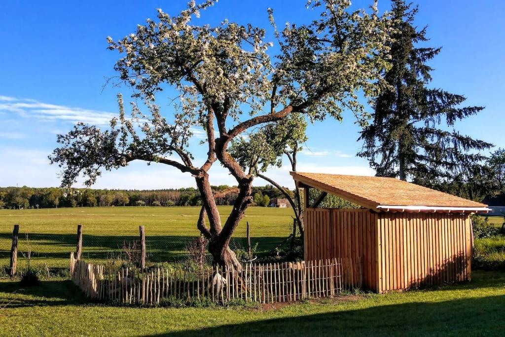 Ferienwohnung Alte Schule Chorin Schorfheide Exterior foto