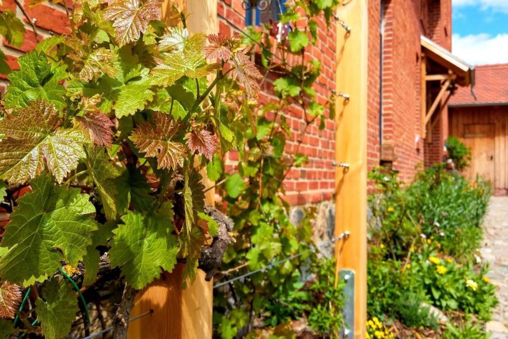 Ferienwohnung Alte Schule Chorin Schorfheide Exterior foto